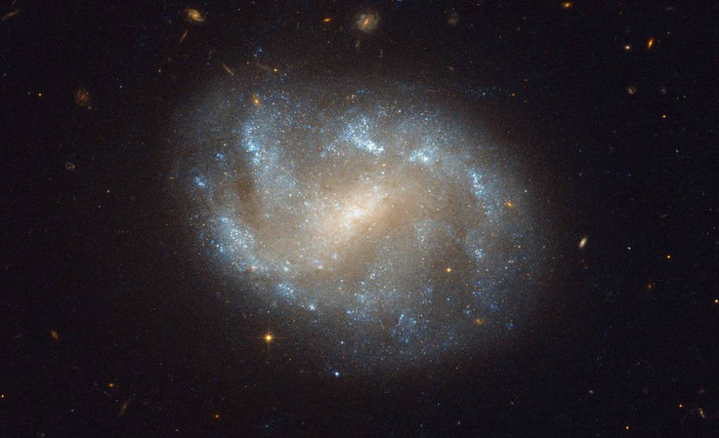 Hubble Image of Galaxies' El Dorado