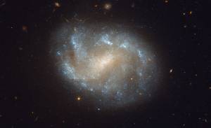 Hubble Image of Galaxies' El Dorado
