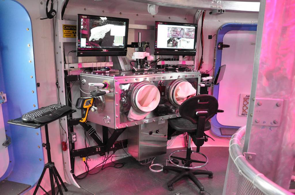 Inside the Deep Space Habitat Science Glovebox
