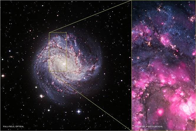 Black Hole Outburst in Spiral Galaxy M83