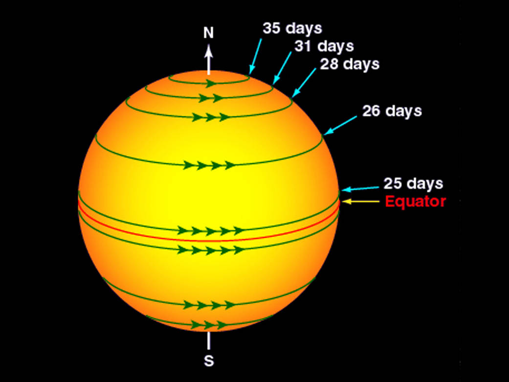 Solar Rotation Varies by Latitude