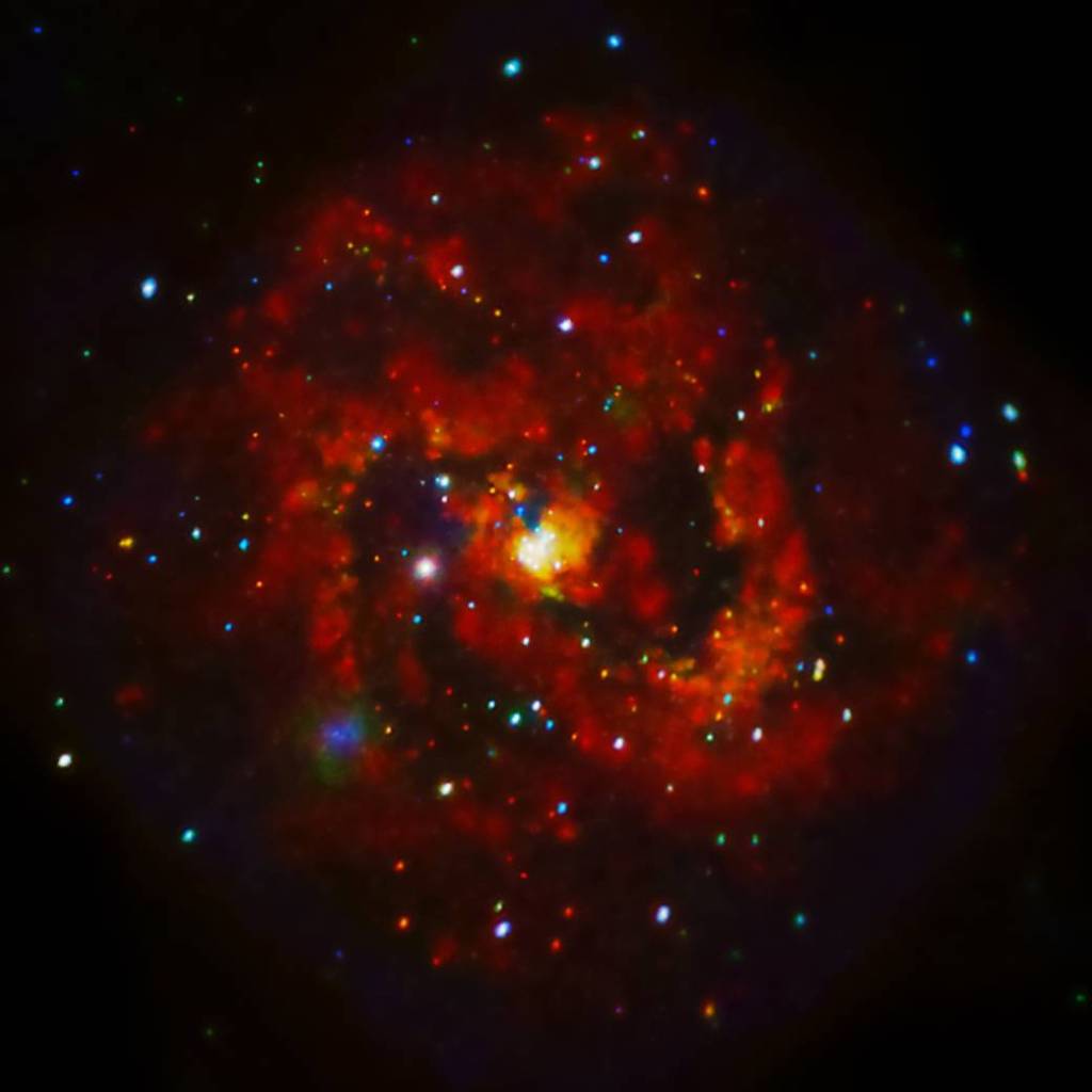 X-rays From A Young Supernova Remnant