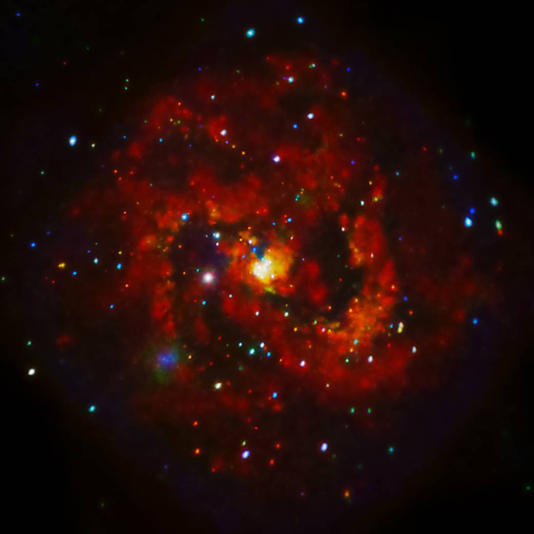 X-rays From A Young Supernova Remnant