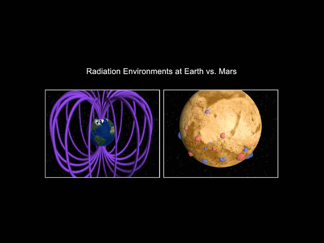 Earth and Martian Magnetic Fields