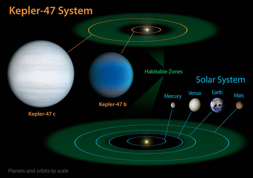 Orbiting in the Habitable Zone of Two Suns