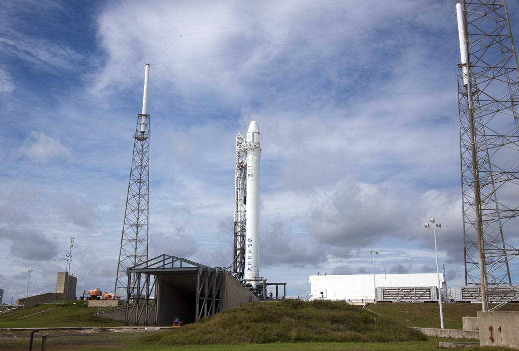 Falcon 9 Standing at Pad