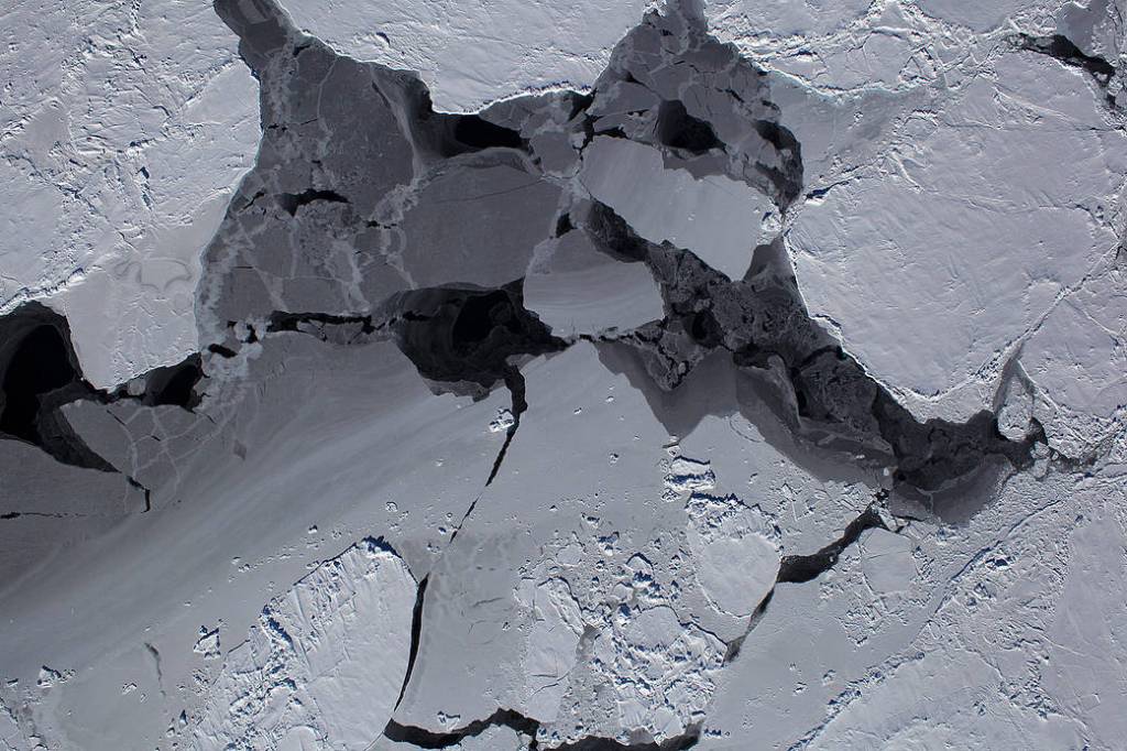 A Mixture of Sea Ice