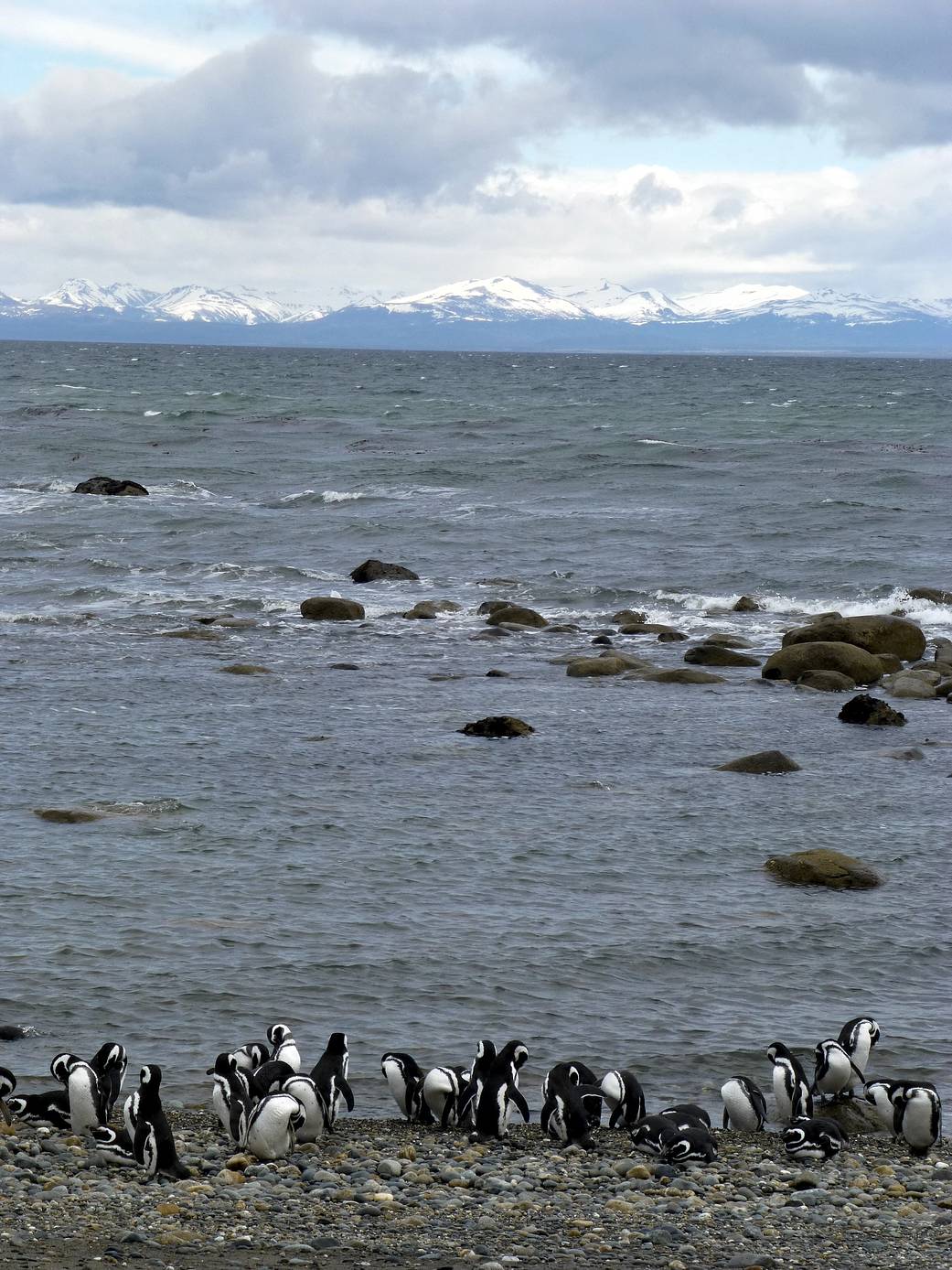 Penguin Beach