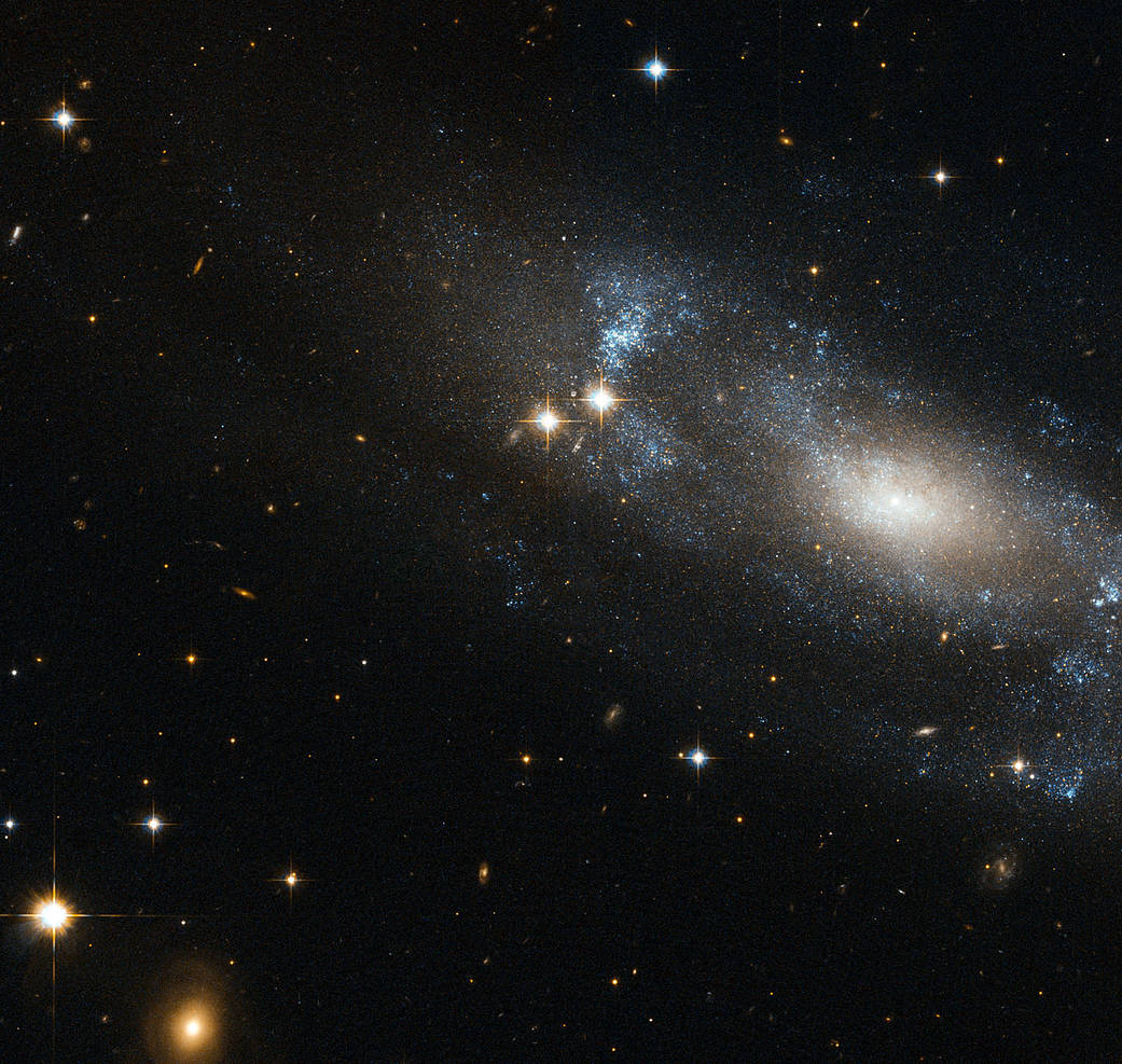Hubble Eyes a Loose Spiral Galaxy