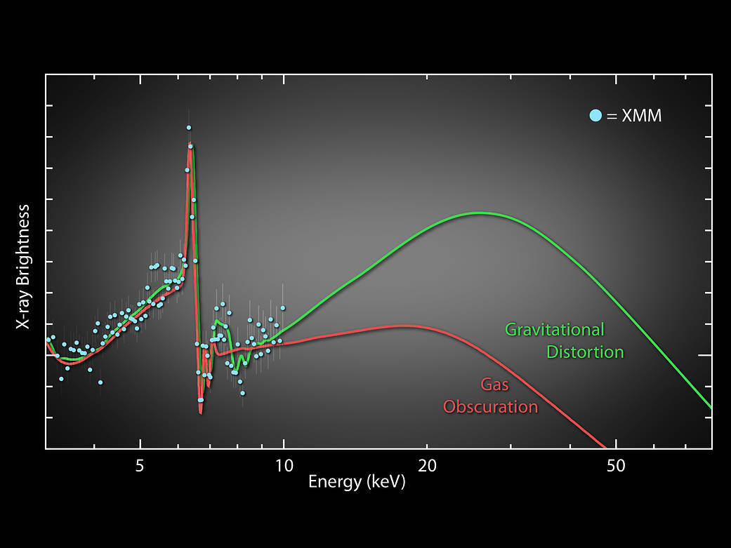 What XMM-Newton Saw