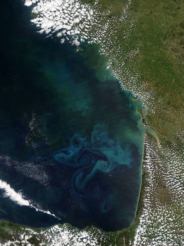 Springtime in the Bay of Biscay
