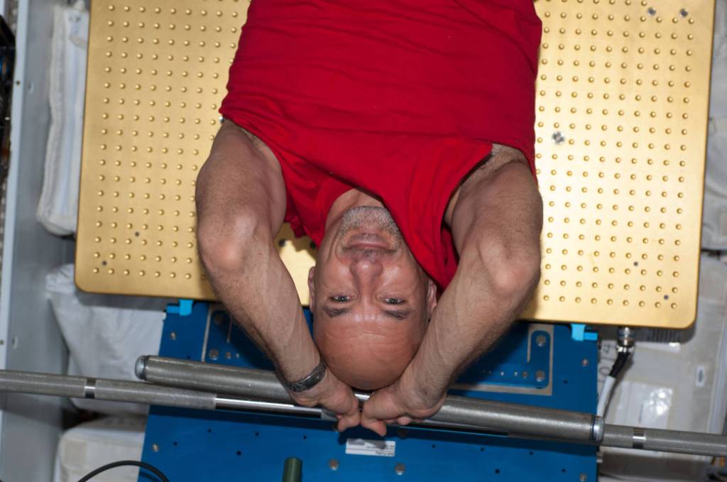 Astronaut Luca Parmitano Works Out on Station
