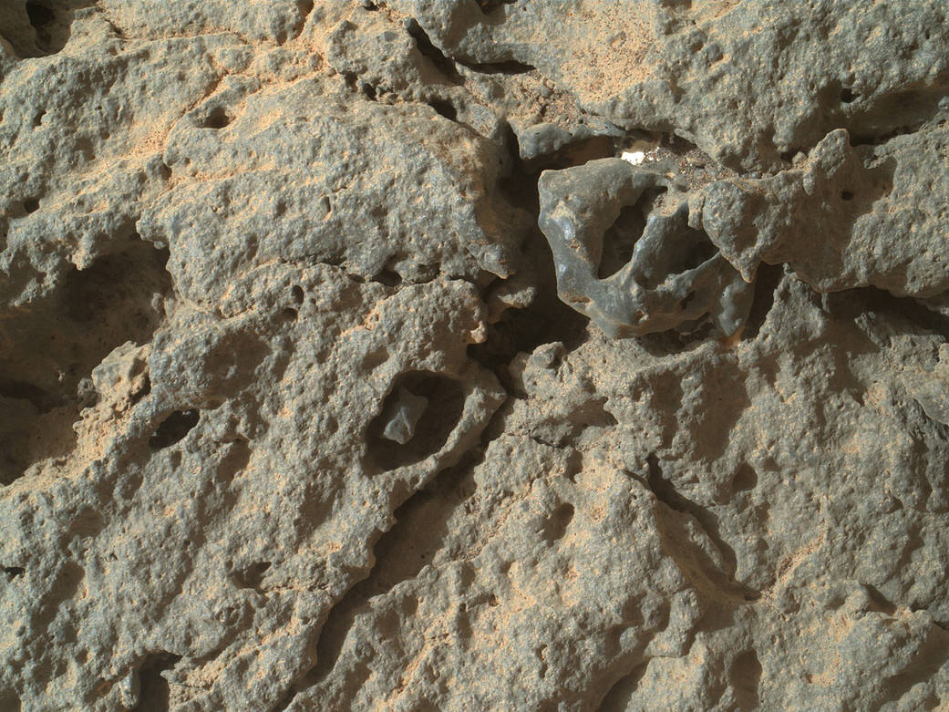 Close-Up Detail in 'Point Lake' Outcrop