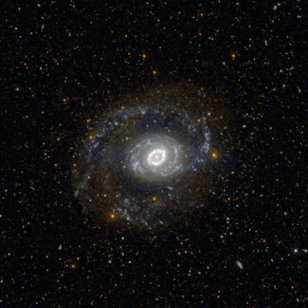 Ultraviolet Ring of Stars