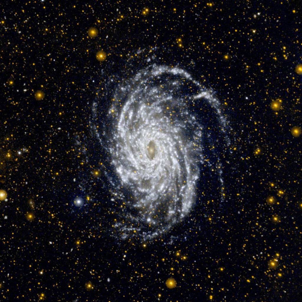 Big Brother to the Milky Way