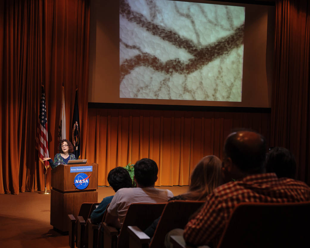 Patricia Parsons-Wingerter - Fractal-Based Mapping of Vascular Patterning For Human Space Exploration