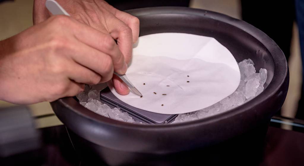 GeneLab for High Schools