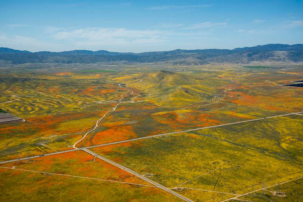 Image from a NASA aircraft, T-34, over the Superbloom of wildflowers and poppies from the Antelope Valley in Southern California