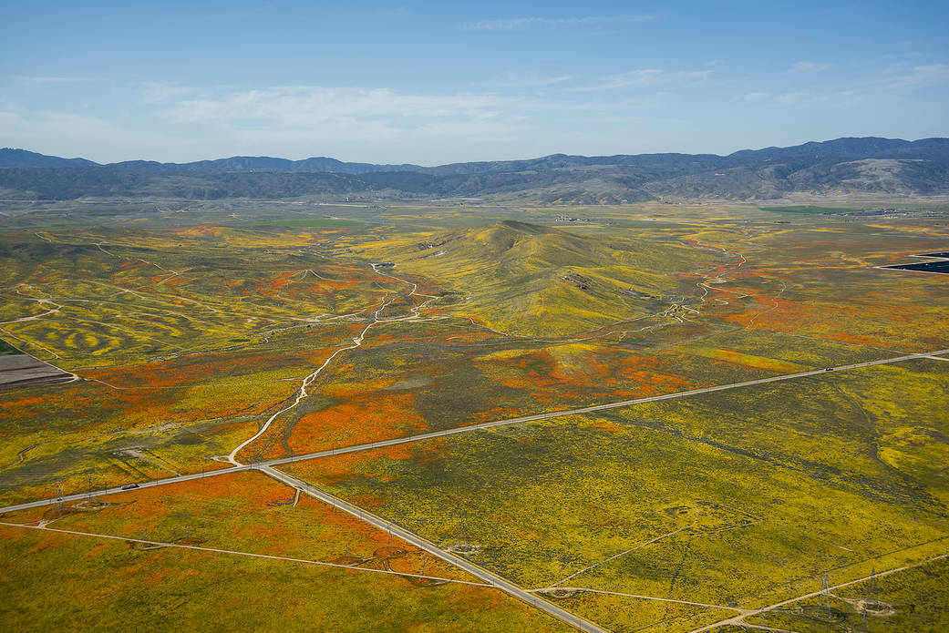Image from a NASA aircraft, T-34, over the Superbloom of wildflowers and poppies from the Antelope Valley in Southern California