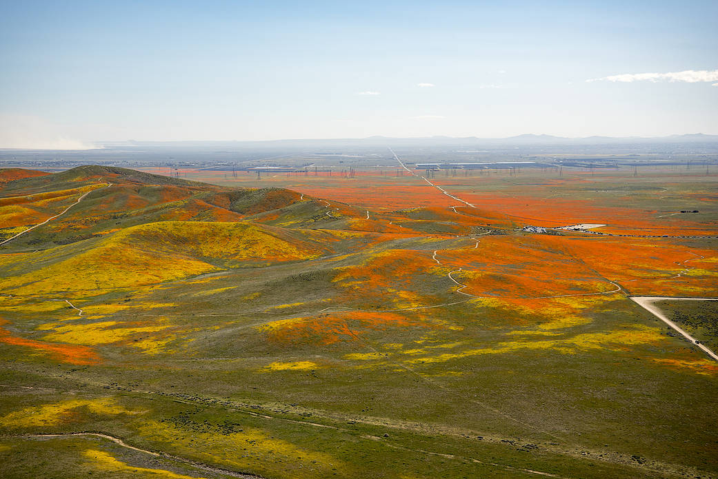 View from a NASA aircraft, T-34, over the Superbloom of wildflowers and poppies from the Antelope Valley.
