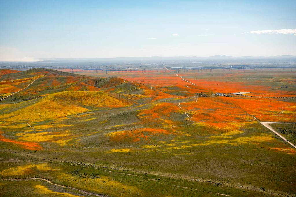 View from a NASA aircraft, T-34, over the Superbloom of wildflowers and poppies from the Antelope Valley.