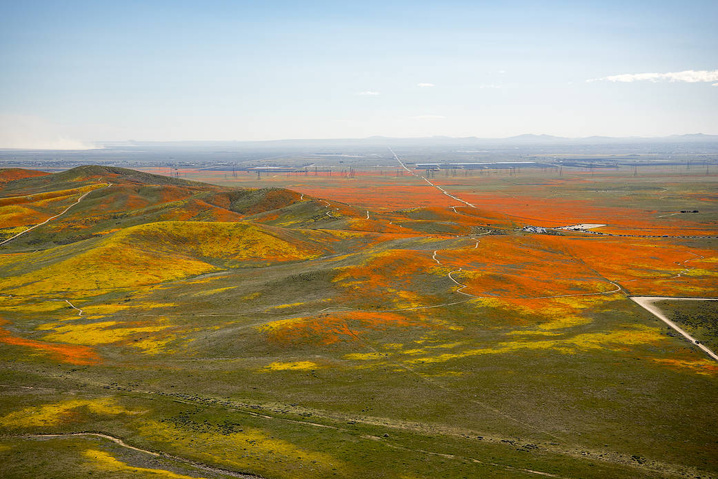 View from a NASA aircraft, T-34, over the Antelope Valley, CA Superbloom 