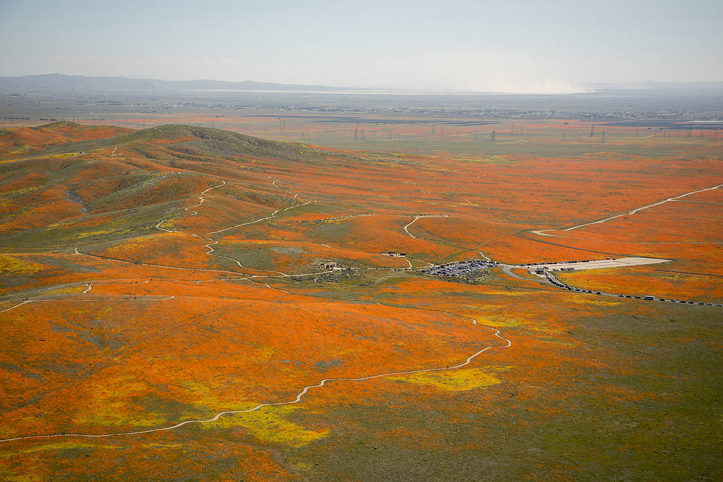 View from a NASA aircraft, T-34, over the Antelope Valley CA, Superbloom