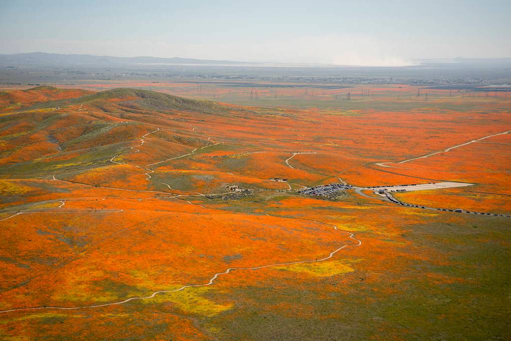 View from a NASA aircraft, T-34, over the Antelope Valley CA, Superbloom