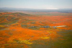 View from a NASA aircraft, T-34, over the Antelope Valley CA, Superbloom