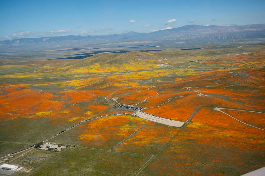 View from a NASA aircraft, T-34, over the Antelope Valley California Superbloom 