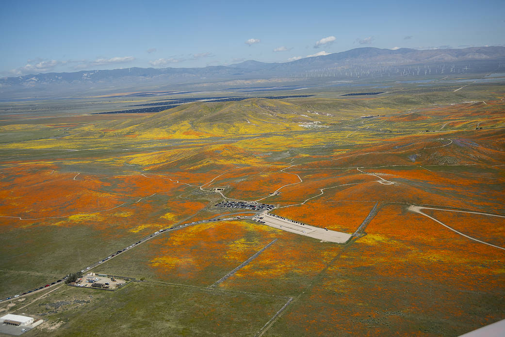 View from a NASA aircraft, T-34, over the Antelope Valley California Superbloom 