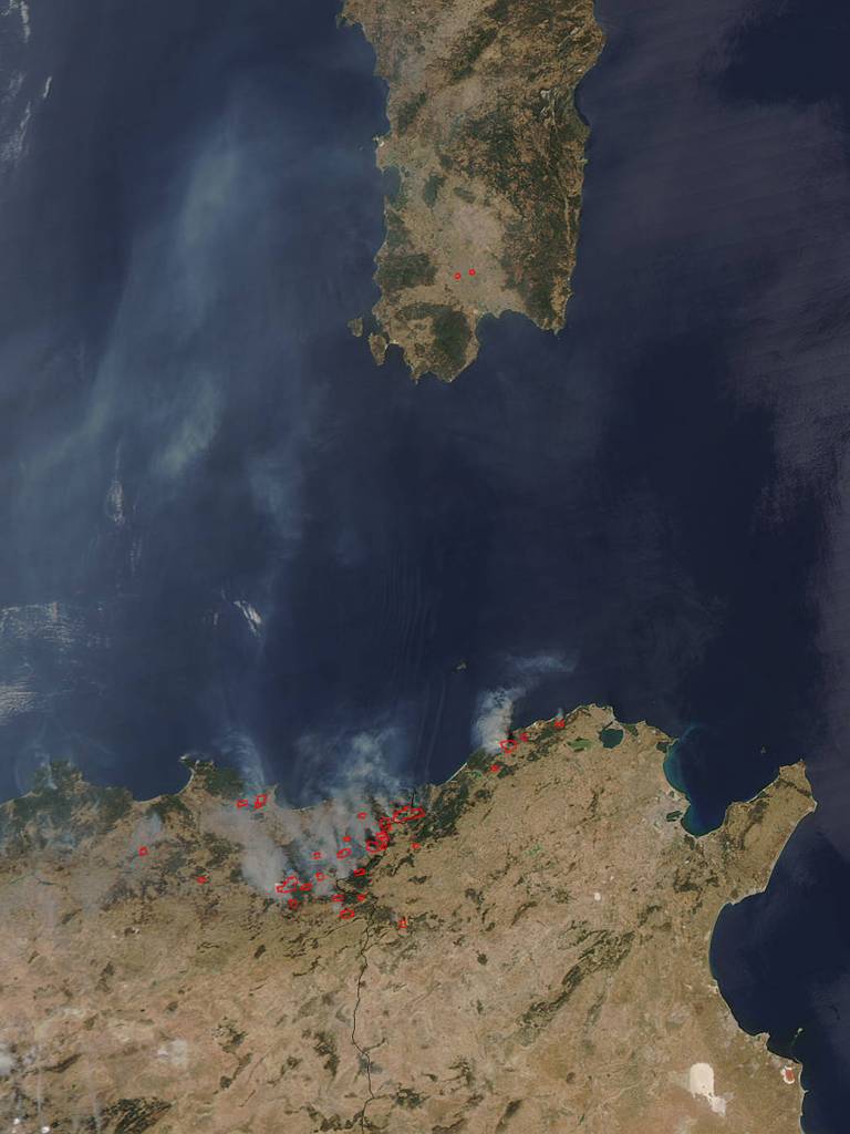 Fires in Algeria and Tunisia