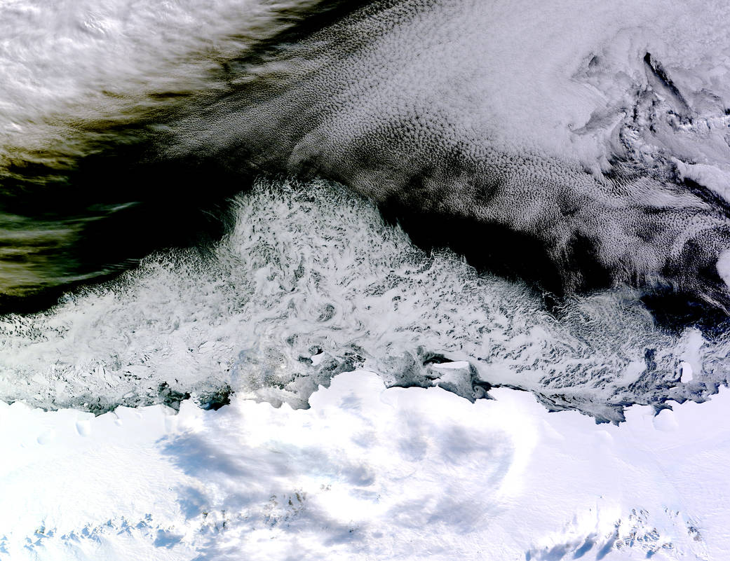 Antarctica coast from above with land covered in ice at bottom of frame and dark blue water with sea ice above