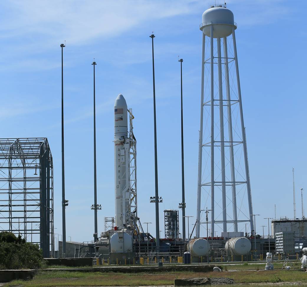 Antares on the Pad