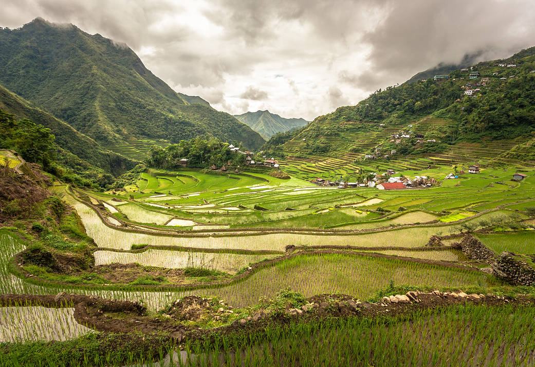 The Philippines’ famed Banaue Rice Terraces