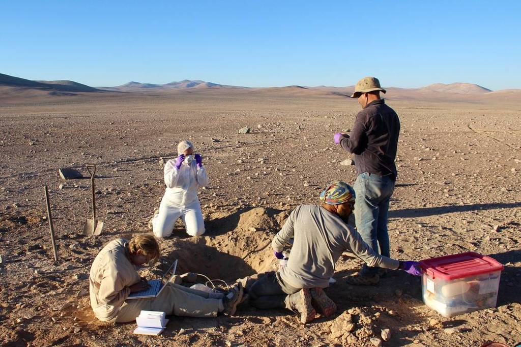 Digging for Microbes – Atacama Rover Astrobiology Drilling Studies