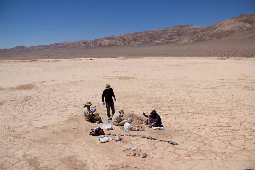 Studying Extreme Desert Lifeforms – Atacama Rover Astrobiology Drilling Studies
