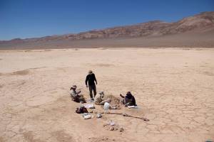 In the middle of a flat plain in Chile’s Atacama Desert, members of the ARADS team take soil samples for their research.