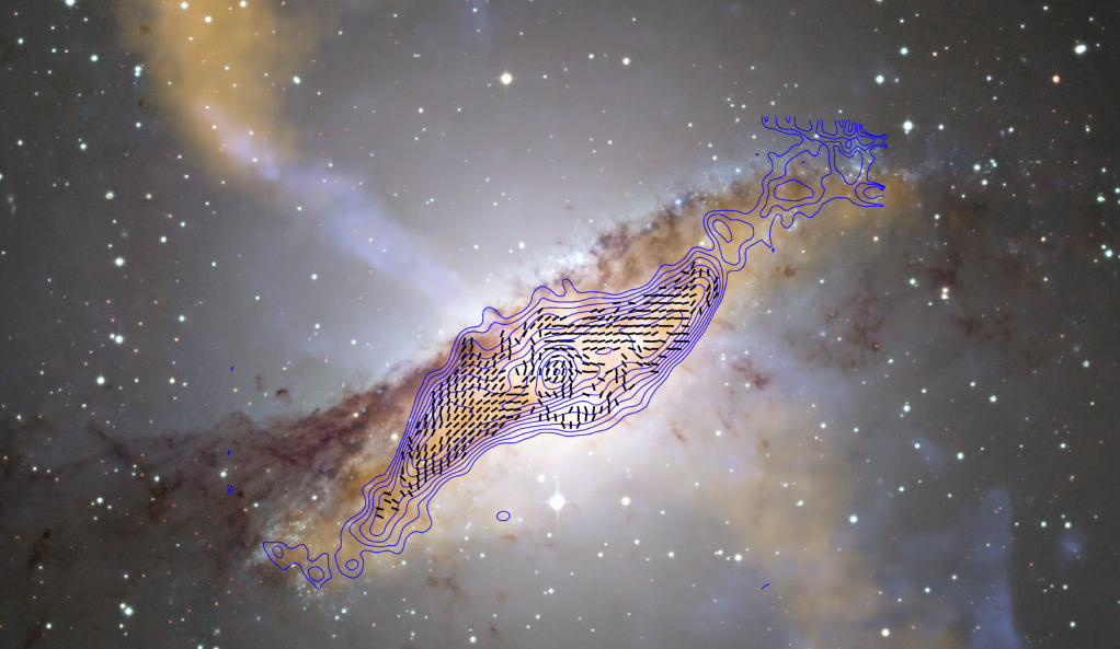 Light grey background with white specks, with a magnetic color of different light browns and golds and a white glistening center, outlined with purple fingerprint like shape.