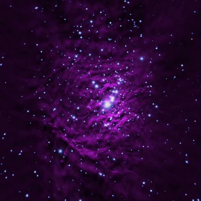 
			The Orion Nebula - NASA			