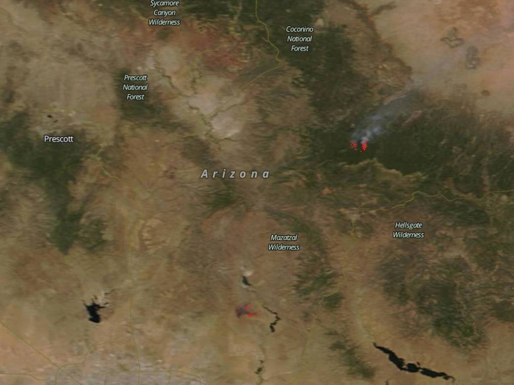 Arizona Suffering From Several Large Wildfires