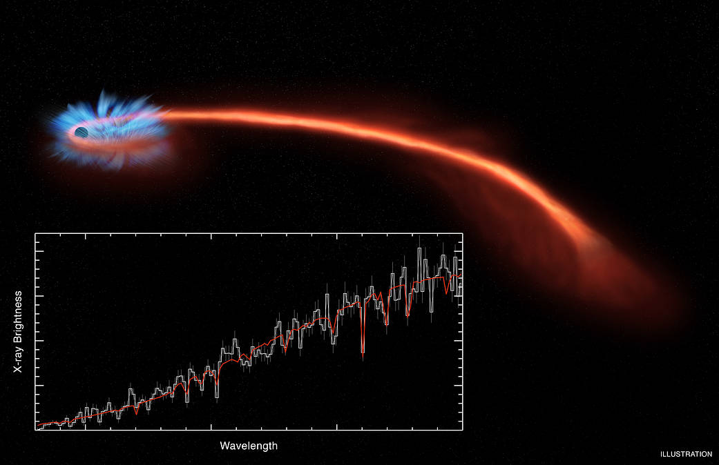 Artist illustration of the tidal disruption ASASSN-14li.