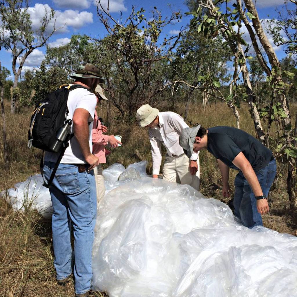 Bushwhacking to Recover Balloons