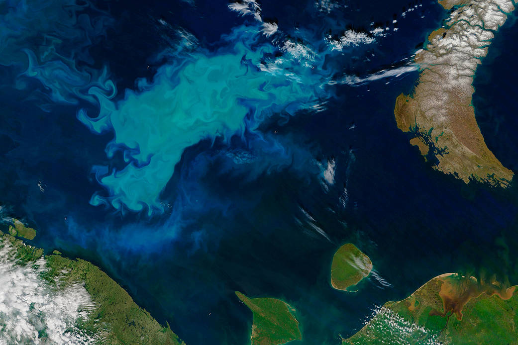 Image from orbit of bright phytoplankton bloom in dark waters