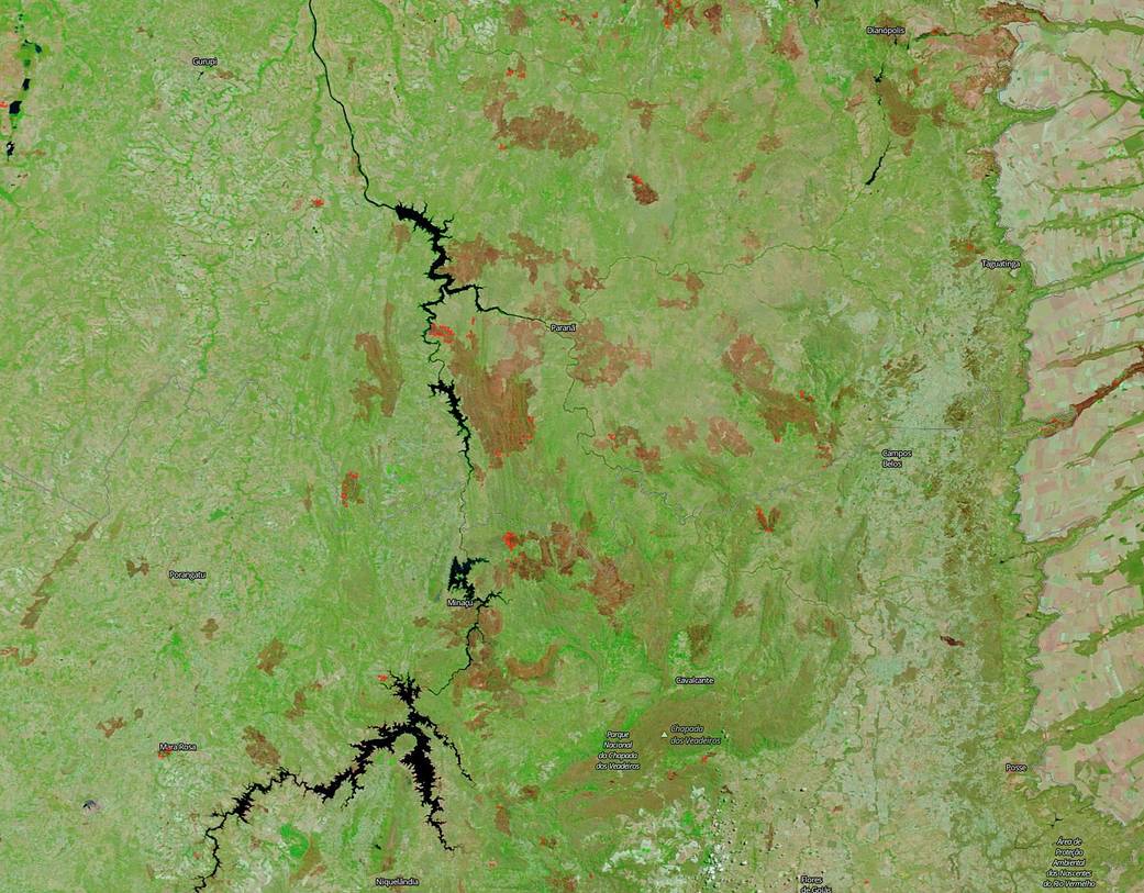 Terra image of burned areas in Brazil
