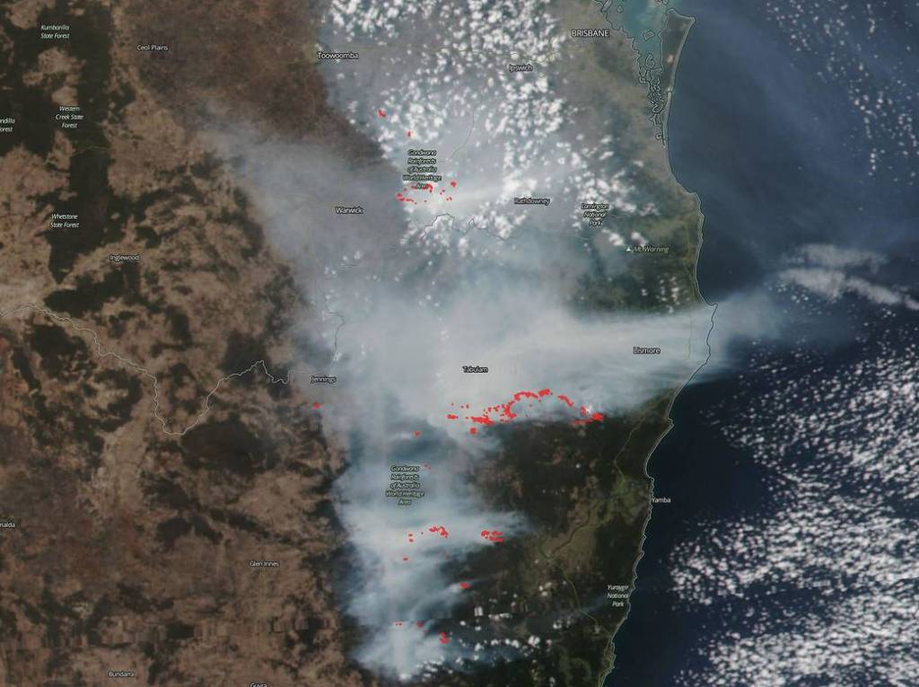 Smoke and Fires in Australia’s Lamington National Park, Gondwana Rainforests