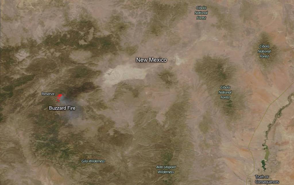 Abandoned Campfire Starts Buzzard Blaze in New Mexico