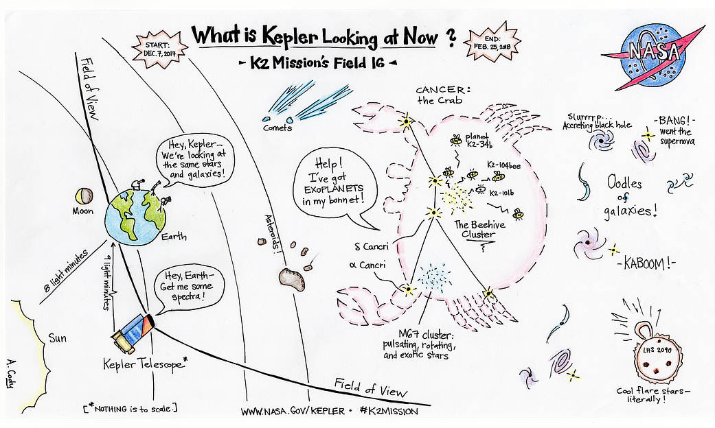 "What is Kepler Looking at Now" Cartoon