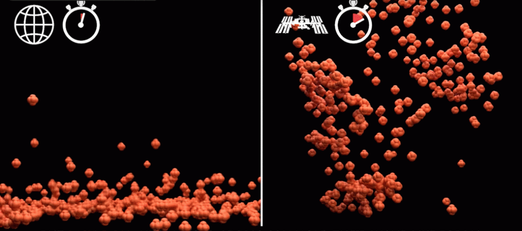 Cold Atom Lab – 1g vs Microgravity