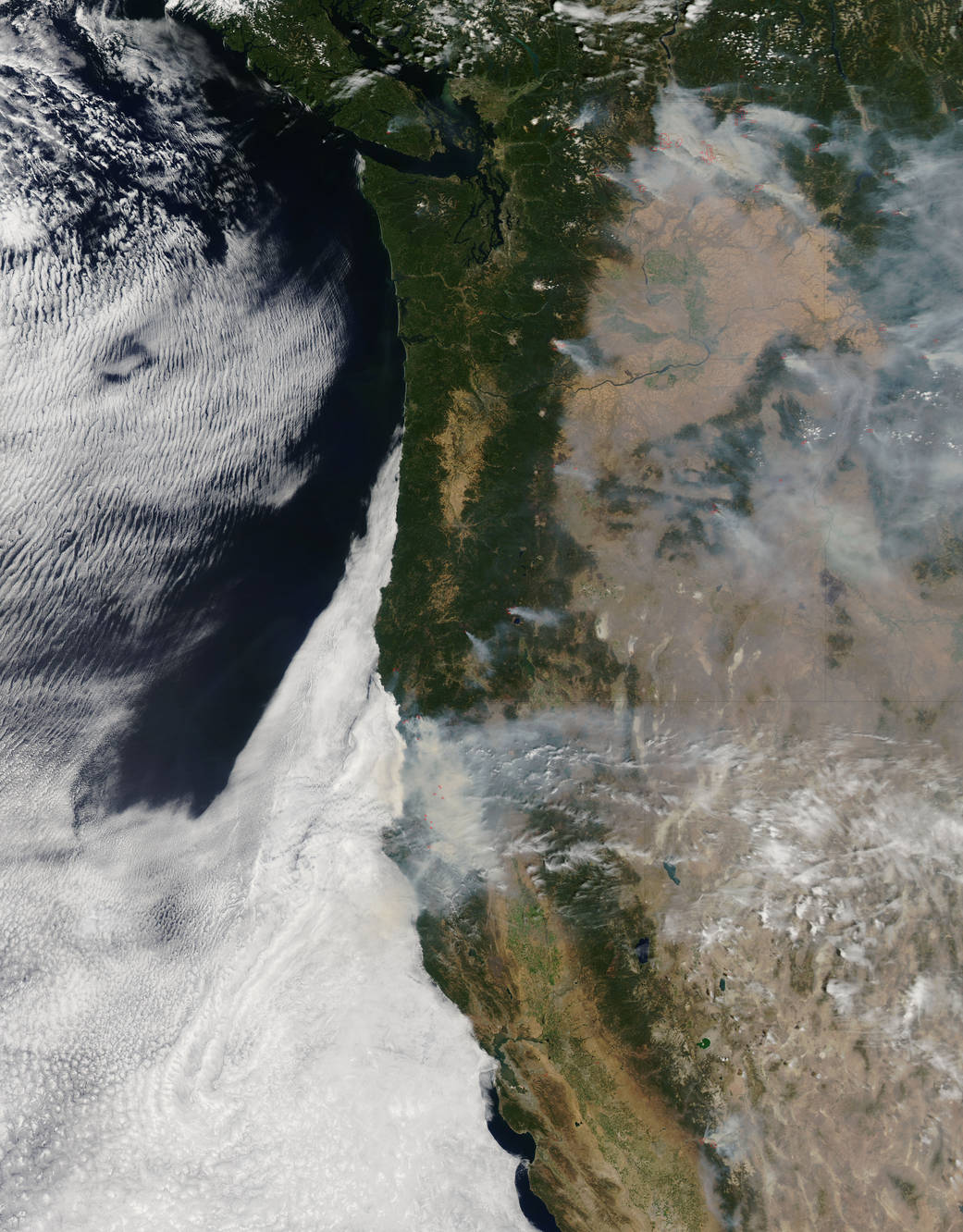  NASA's Aqua satellite captured an image of smoke from multiple fires burning in Washington, Oregon, and California on Aug. 19